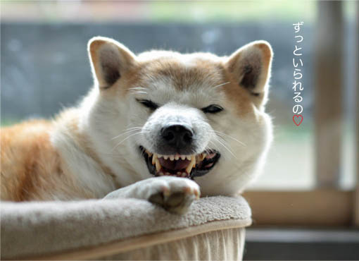 26日ブログ3.jpg