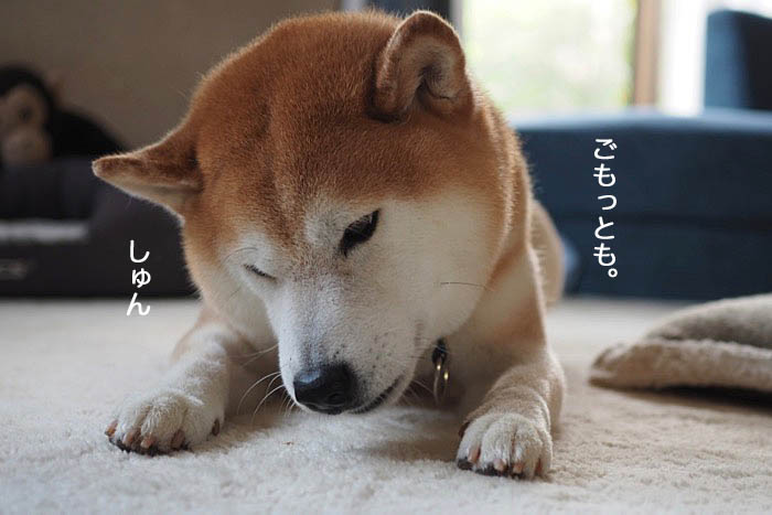 6日ブログ１３