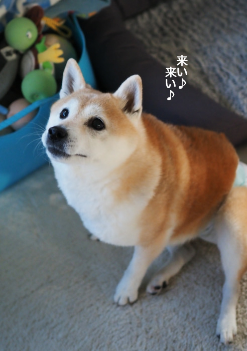18日夜ブログ２