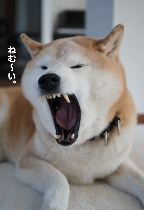 30日夕ブログ6
