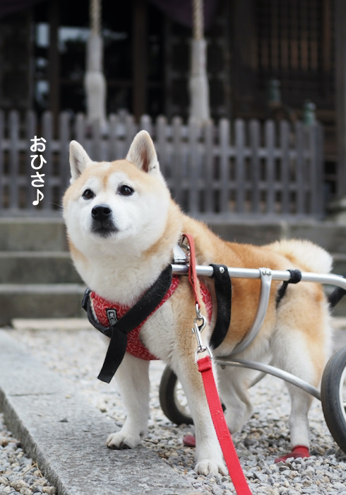 6日夜ブログ２
