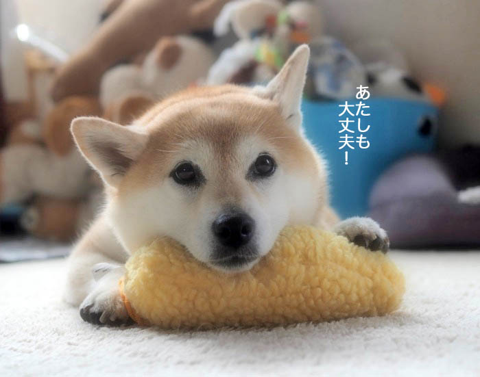 21日夕ブログ６
