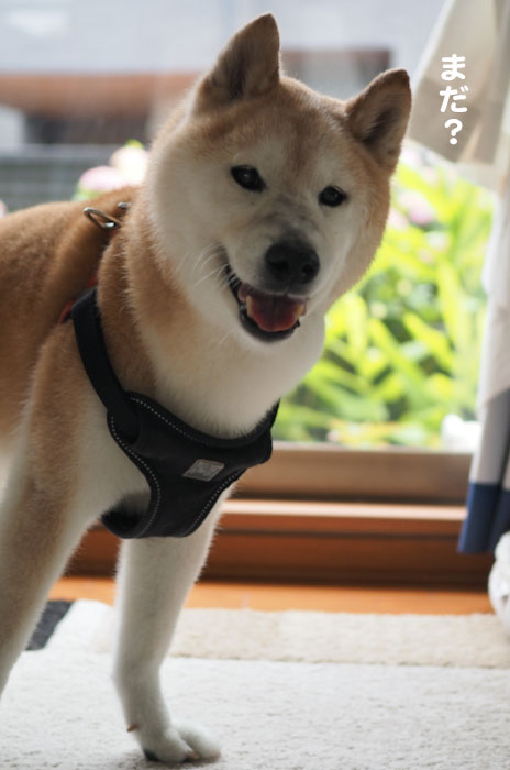 9日ブログ２