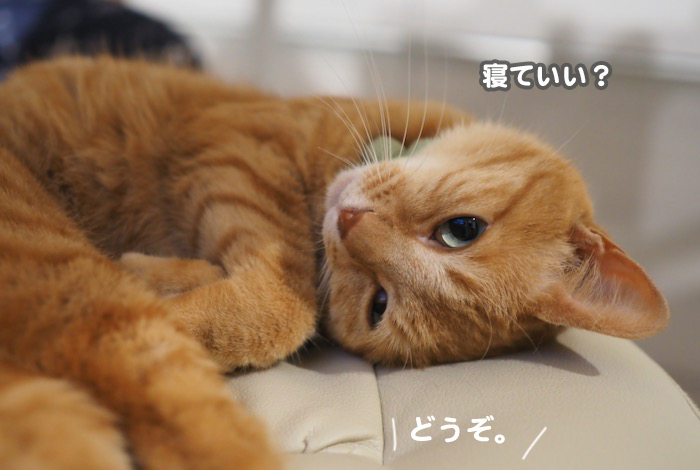 6日夕ブログ４-(1)