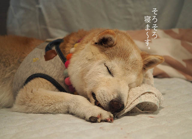 23日ブログ1