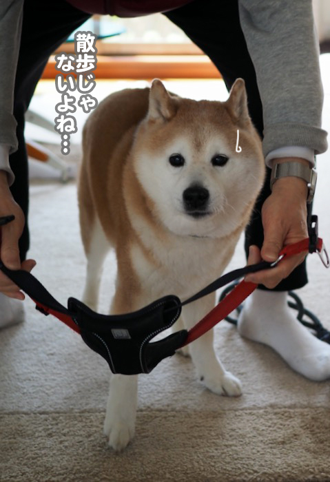 8日ブログ２