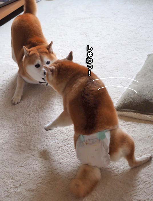 28日夜ブログ５