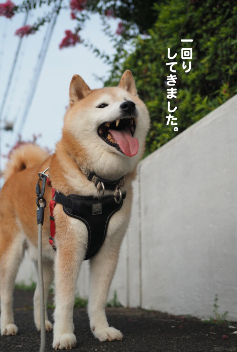 26日ブログ８