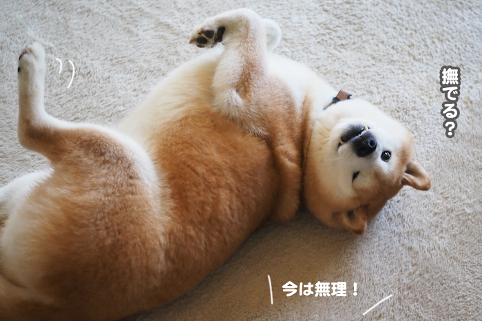 2日ブログ２