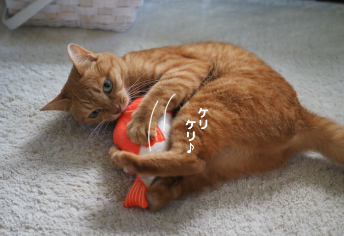 24日夕ブログ４