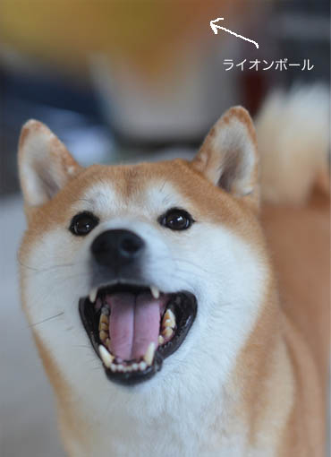 22日ブログ2.jpg