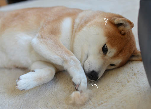 23日ブログ4.jpg
