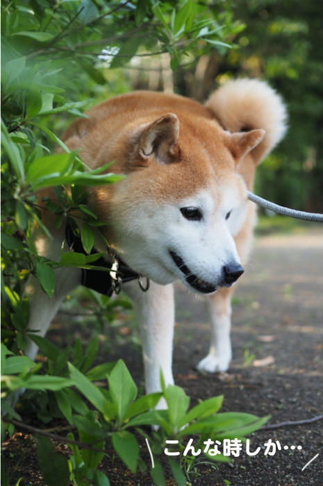 28日ブログ３