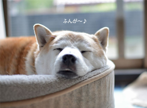 19日ブログ2.jpg