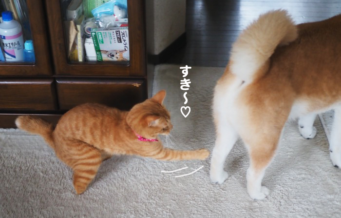 9日夕ブログ８