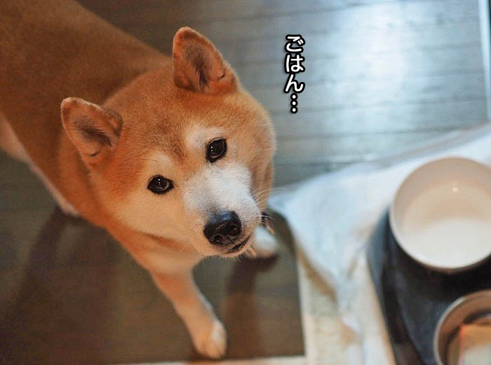 22日ブログ３