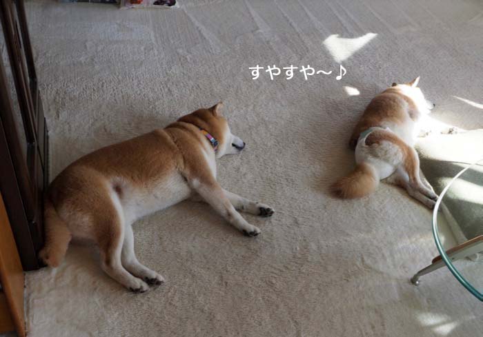 9日夜ブログ１２