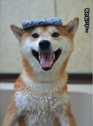 26日ブログ8.jpg