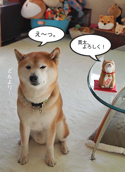 7日夜ブログ3