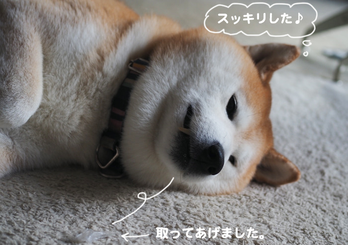 16日夕ブログ８