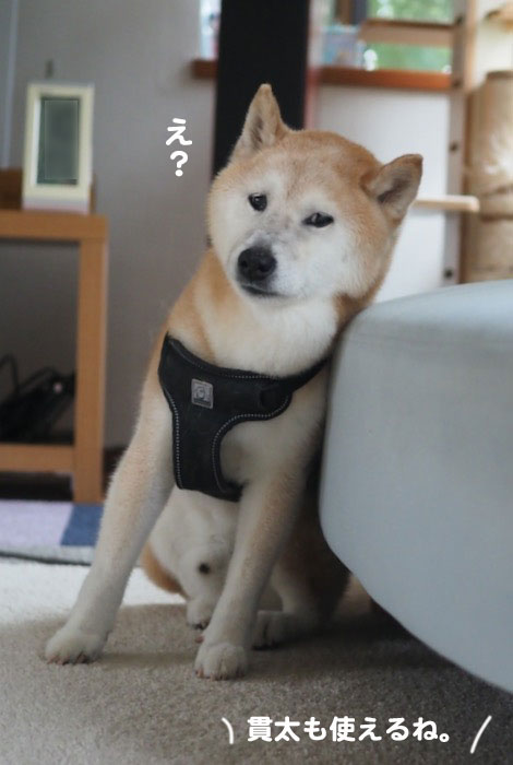 12日ブログ３