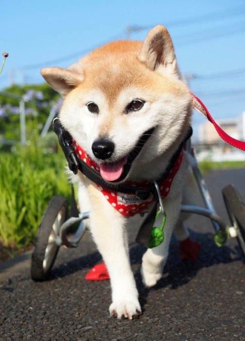 15日ブログ２