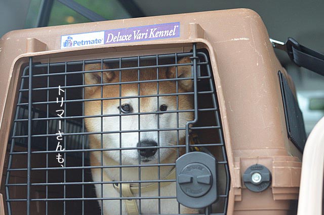 24日ブログ9