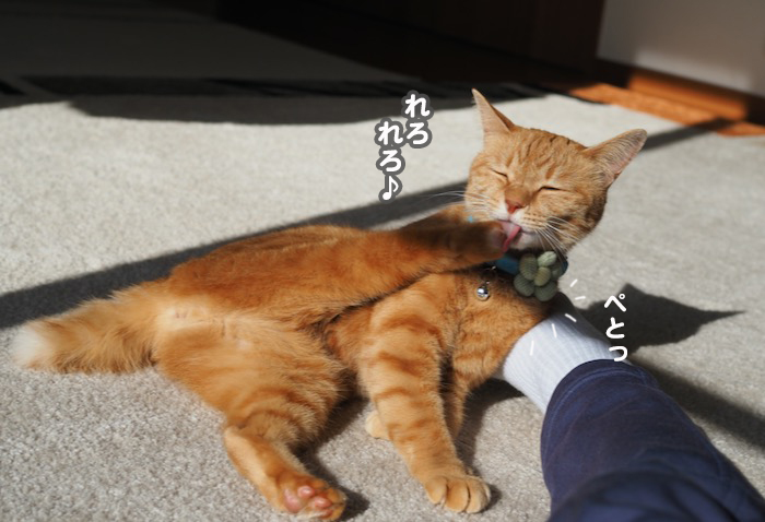 27日夕ブログ２jpg