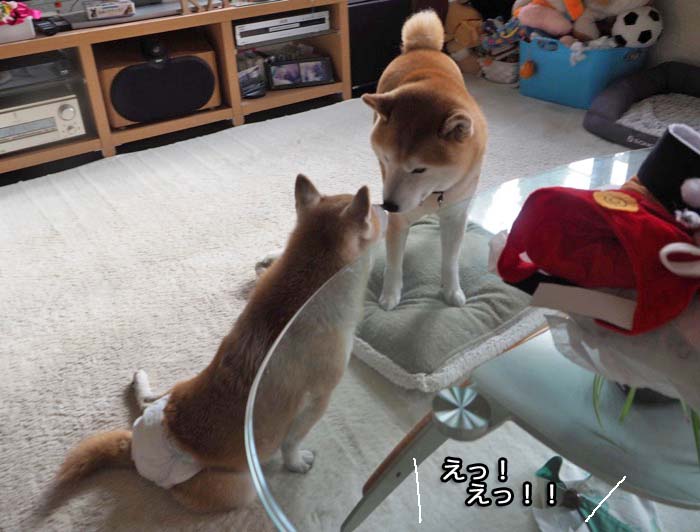 11日ブログ１