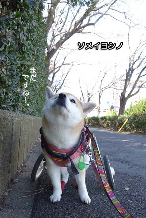 25日ブログ３