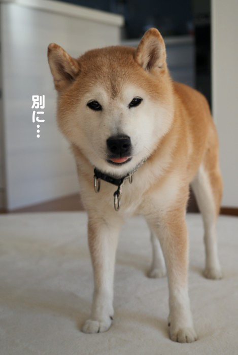 27日夕ブログ４