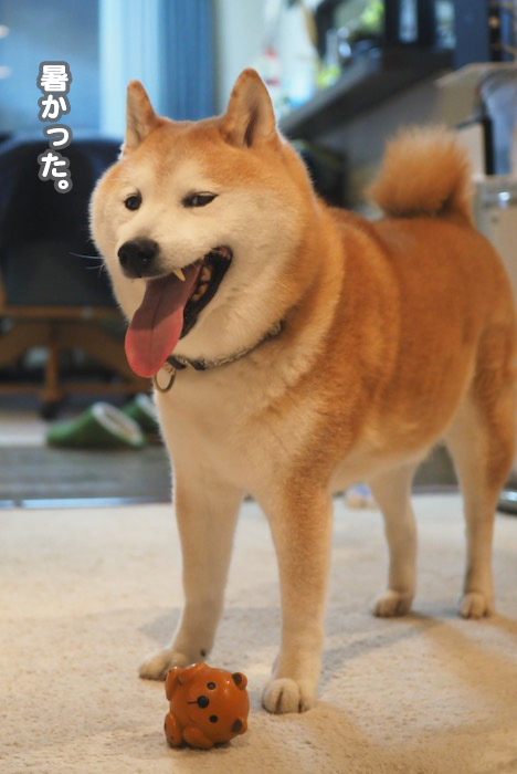 18日夕ブログ５