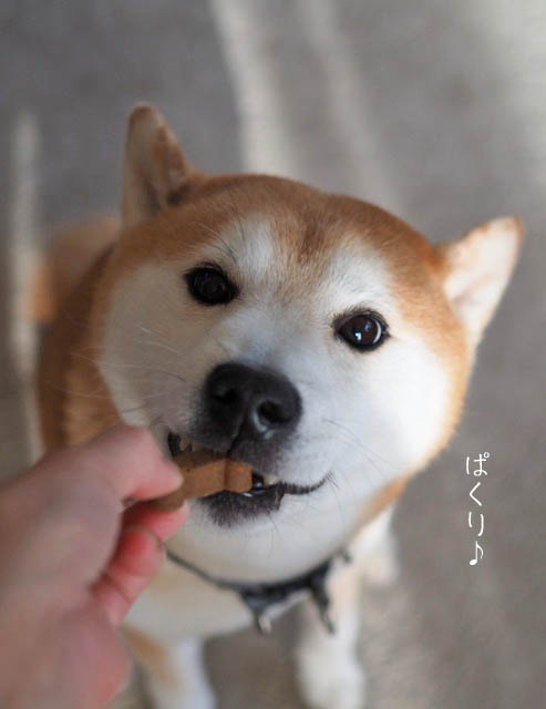 30日昼ブログ6