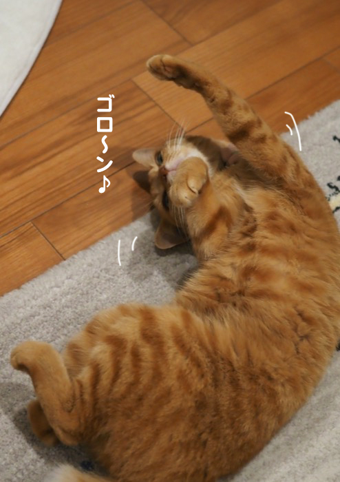23日ブログ２