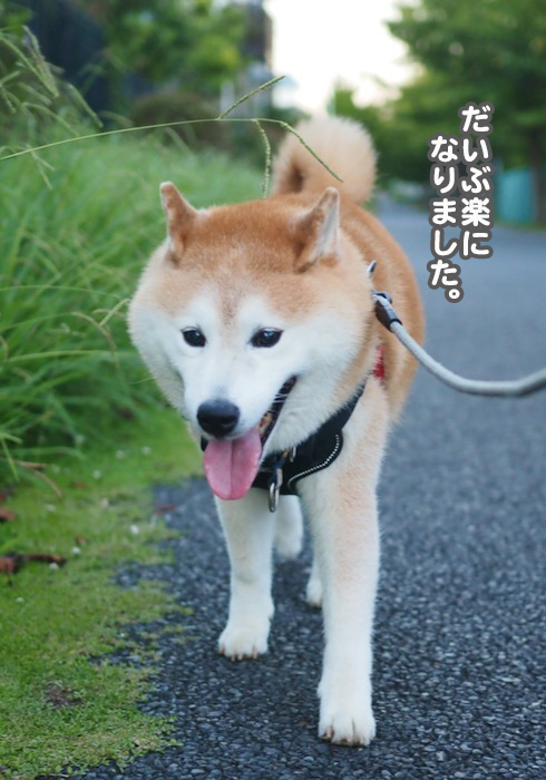 7日夕ブログ２
