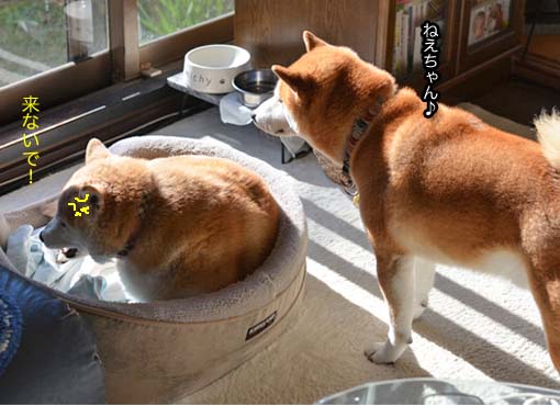 26日ブログ4.jpg