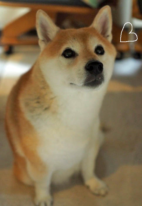16日夕ブログ５