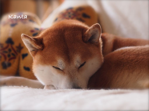 7日ブログ９.jpg