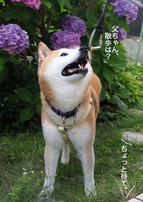 11日夜ブログ３