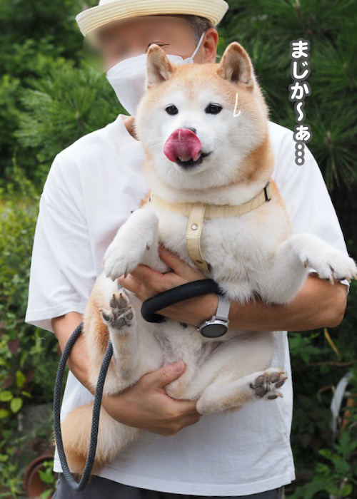 8日ブログ３