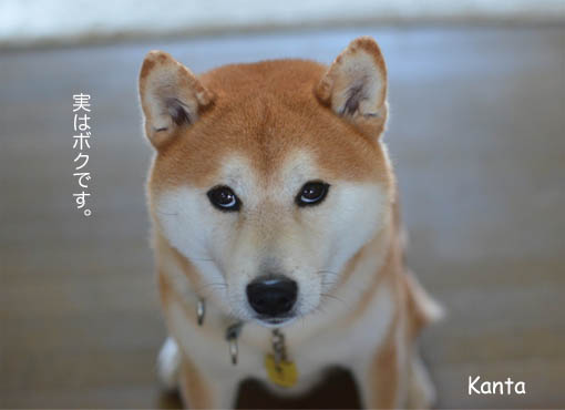 17日ブログ5.jpg