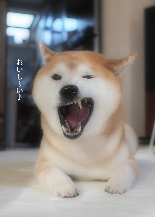 25日ブログ8