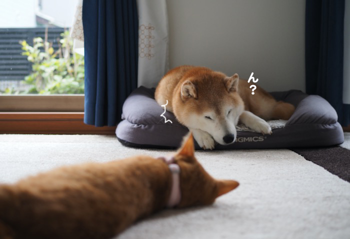 19日夕ブログ２