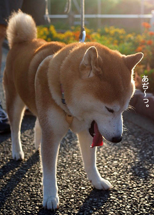 29日ブログ３