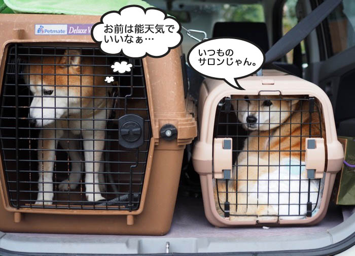3日ブログ１２