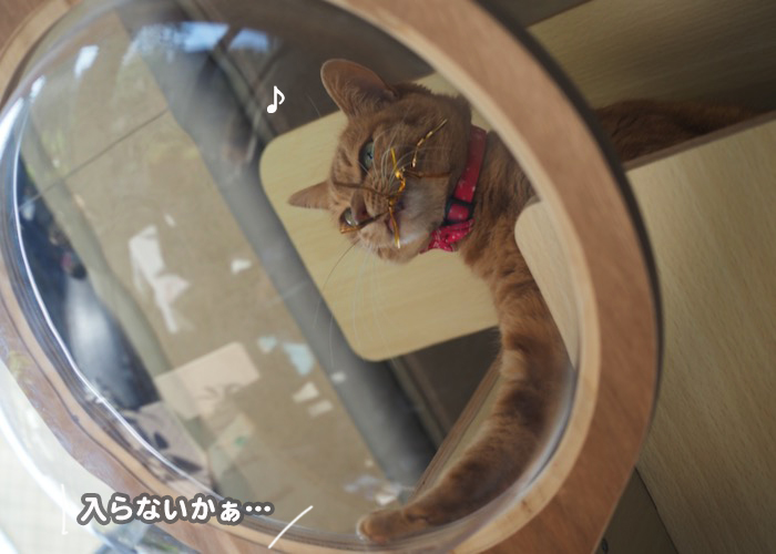 5日夕ブログ９