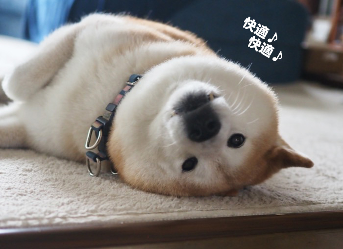 25日夕ブログ８