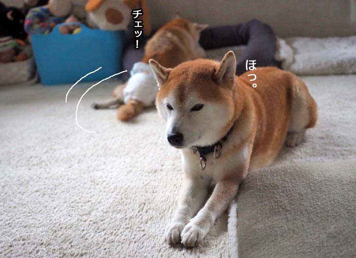 23日ブログ１０
