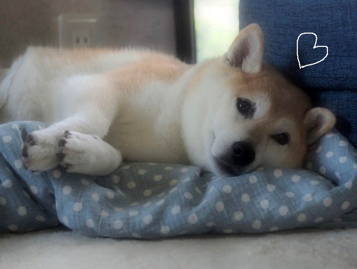 25日夕ブログ5