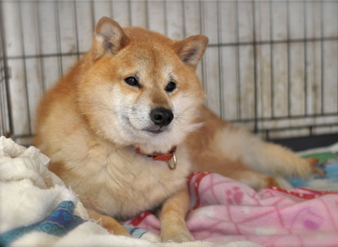 10日ブログ7.jpg